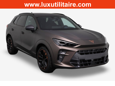 Cupra Terramar 2.0 TSI DSG 265 VZ 4Drive