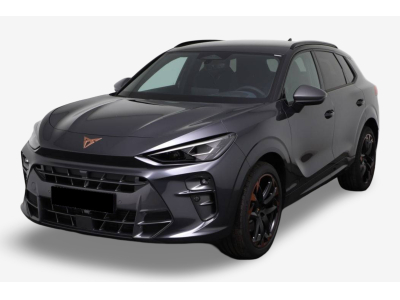 Cupra Terramar 2.0 TSI DSG 265 VZ 4Drive