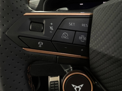 Cupra Formentor 2.0 TSI VZ 333 DSG 4 Drive