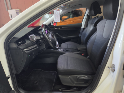 Skoda Octavia TDI 150CV DSG