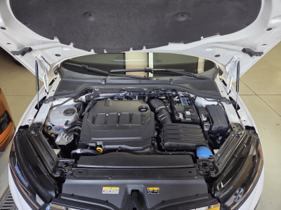 Skoda Octavia TDI 150CV DSG