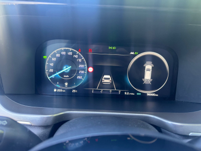 Kia Sorento Kia Sorento Platinum 4WD LED ACC BOSE NAVI