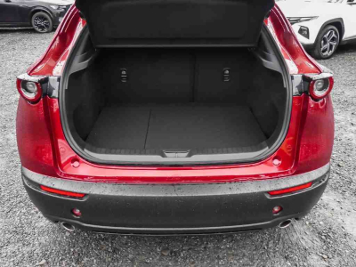 Mazda CX-30 2.5 E-Skyactiv G 140 Homura