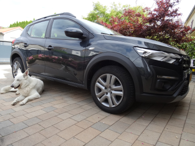 Dacia Sandero STEPWAY