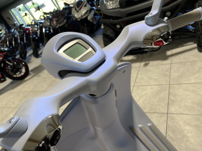 Vespa 946 Snake