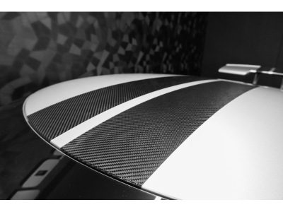 Ford GT Carbon Series - Ingot Silver