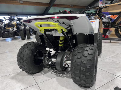 CF Moto CForce EV 110 