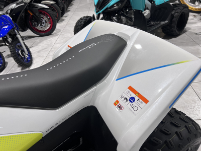 CF Moto CForce EV 110 