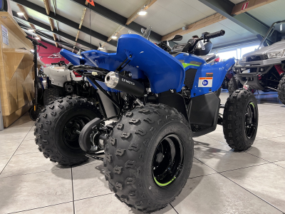 CF Moto CForce 110 