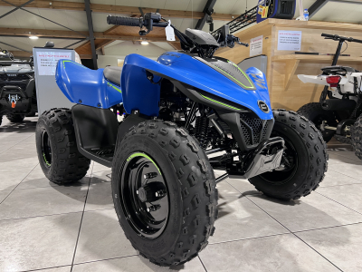 CF Moto CForce 110 