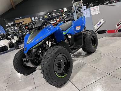 CF Moto CForce 110 