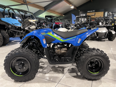 CF Moto CForce 110 