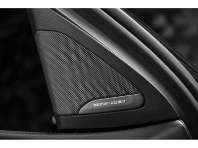 BMW X6 M Compétition F96