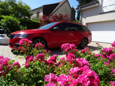 Skoda Octavia RS DSG