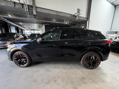 Cupra Terramar Terramar 2.0 TSI 195 kW/4Drive VZ /PANORAMA/*VOLL