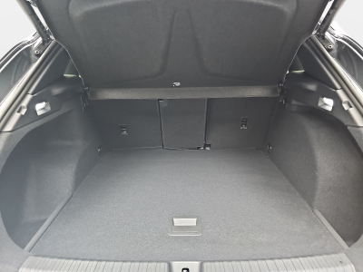 Cupra Terramar 1.5 eTSI DSG 150