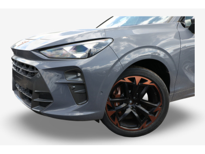 Cupra Terramar 2.0 TSI DSG 265 VZ 4Drive Akebono