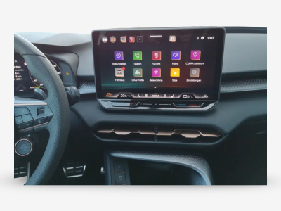 Cupra Terramar 2.0 TSI DSG 265 VZ 4Drive