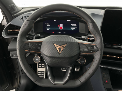 Cupra Terramar 2.0 TSI DSG 265 VZ 4Drive