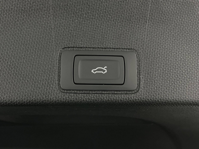 Cupra Terramar 2.0 TSI DSG 265 VZ 4Drive