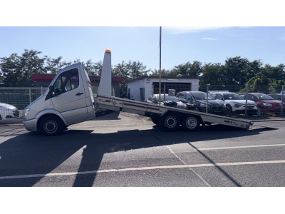 Mercedes-Benz  Sprinter II 319 CDI / Algema /