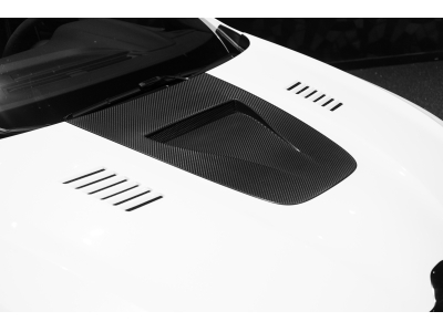 Renault Megane RS TROPHY R - 321/500