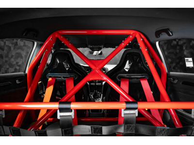 Renault Megane RS TROPHY R - 321/500