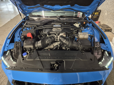 Ford Mustang 5.0 V8 GT LIMITED EDITION WR N°006 GARANTIE FORD 04/2030