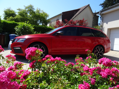 Skoda Octavia RS DSG