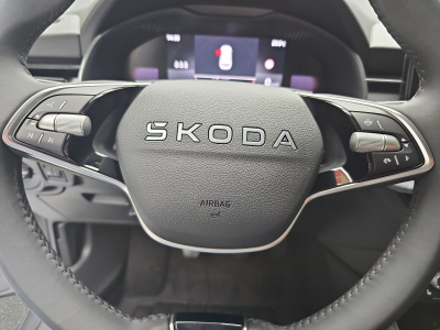 Skoda Kamiq 1.0 TSi 116 DSG Selection