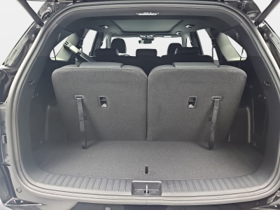 Kia Sorento 2.2 CRDI 193 DCT8 Platinum AWD