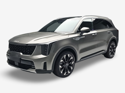 Kia Sorento 2.2 CRDI 193 DCT8 Platinum AWD