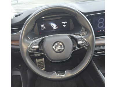 Skoda Octavia RS Scout 2.0 TDI DSG 4x4 /Pano/Canto/AHK