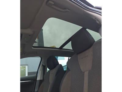 Skoda Octavia RS Scout 2.0 TDI DSG 4x4 /Pano/Canto/AHK