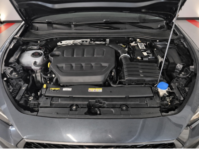 Cupra Leon Cupra Leon VZ 300 CV DSG