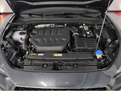 Cupra Leon Cupra Leon VZ 300 CV DSG