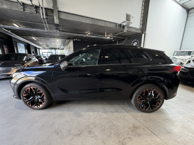 Cupra Terramar Terramar 2.0 TSI 195 kW/4Drive VZ /PANORAMA/*VOLL