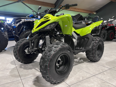 Yamaha YFM 110 R