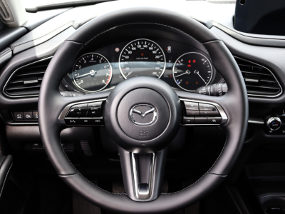 Mazda CX-30 2.5 E-Skyactiv G 140 Homura Plus