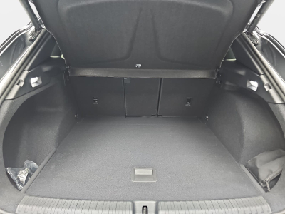 Cupra Terramar 1.5 eTSI DSG 150