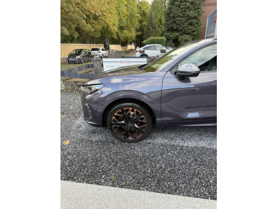 Cupra Terramar VZ 265 Tfsi 4Drive Full