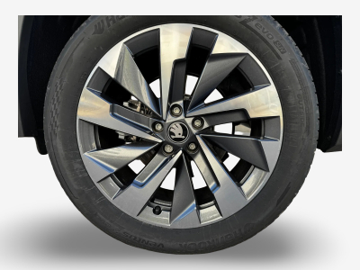 Skoda Kodiaq 2.0 TDI 193 DSG Selection 4x4