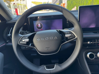 Skoda Kodiaq 2.0 TDI 193 DSG Selection 4x4