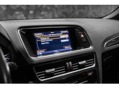 Audi SQ5 PLUS QUATTRO