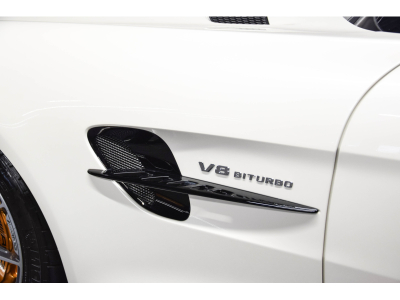 Mercedes-Benz AMG GT R V8 Bi-Turbo