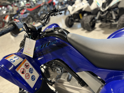 Yamaha YFM 110 R