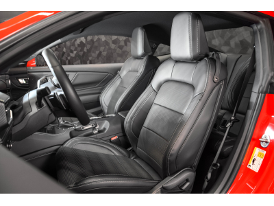 Ford Mustang GT 5.0 V8