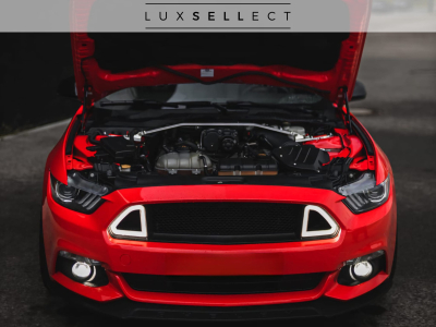 Ford Mustang 5.0 L V8 1 OF 1 FORD Performance EU MODEL