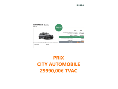 Skoda Kamiq 1.0 TSI DSG MONTE CARLO TOIT PANO CAMERA CARPLAY