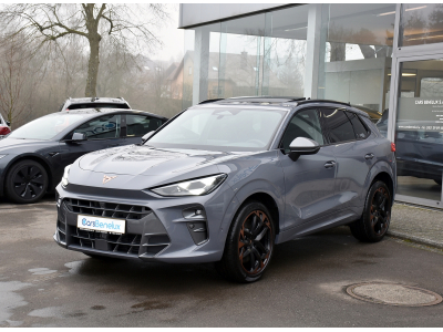 Cupra Terramar VZ 2.0 TSI 4Drive DSG